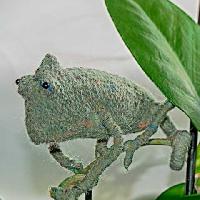 Chameleon