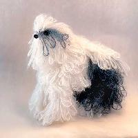 English Sheep Dog