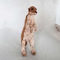 Meerkat