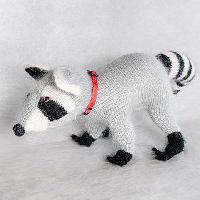 Racoon